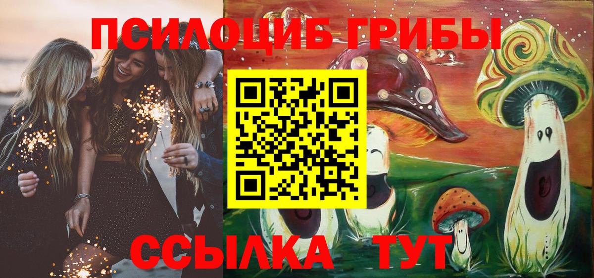 Псилоцибиновые грибы MAGIC MUSHROOMS  Вход с VPN  Узловая 